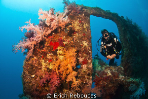 Swimming through the rudder of the 135 year-old SS Dunraven by Erich Reboucas 